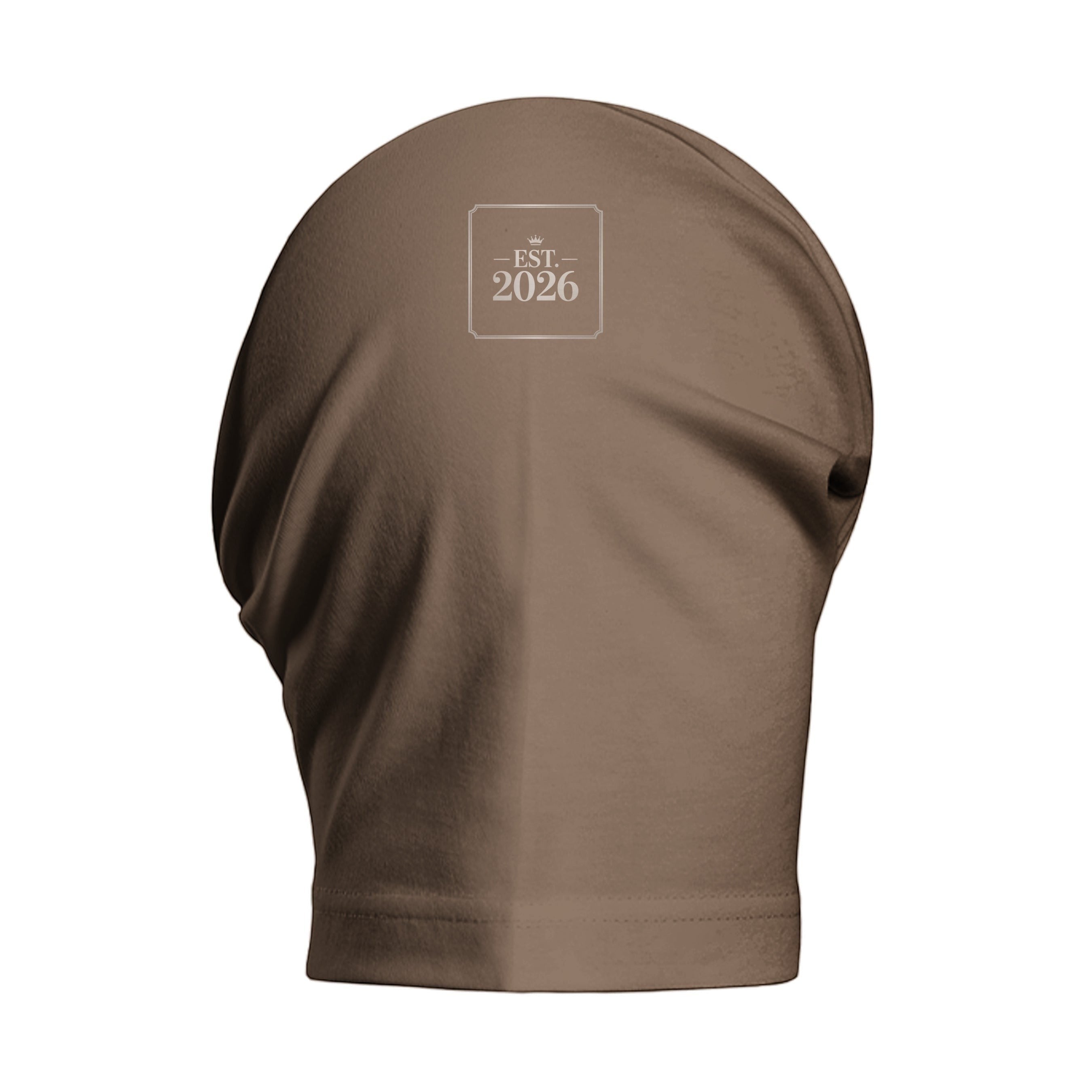 Stylio brown heavyweight cotton t-shirt with dropped shoulders and a subtle "EST. 2026" logo on the upper back.